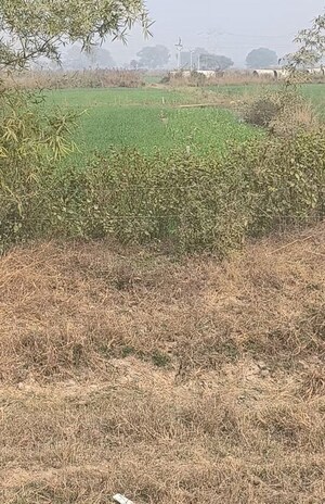 Plot Area in  Land at Amarpatan – for Sale