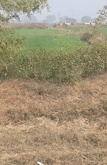 Plot Area in  Land at Amarpatan – for Sale