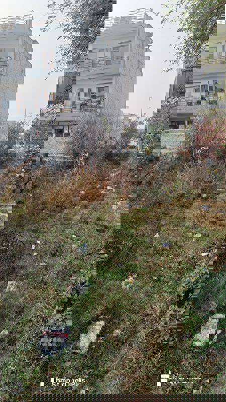 Industrial Plot For Sale in Sector 82