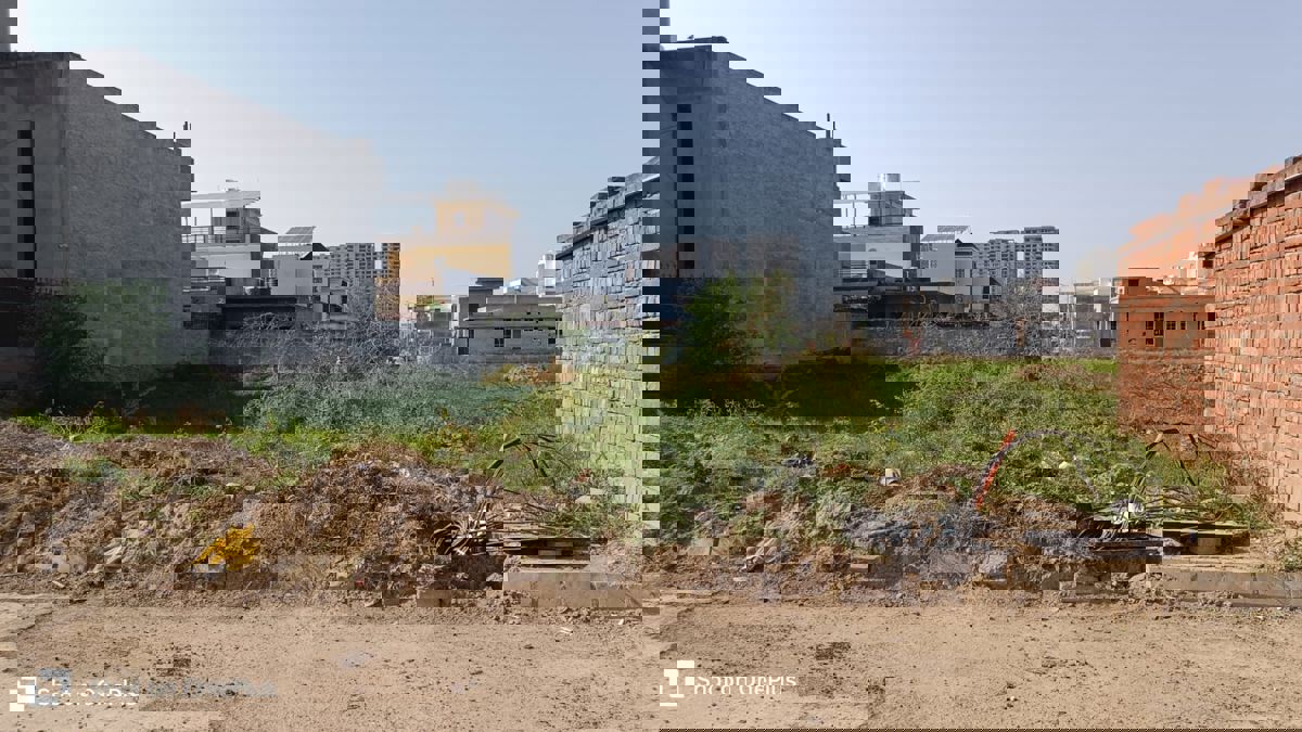 Office Space For Rent in Sector 82