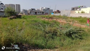  Industrial Plot For Sale in Sector 82 A