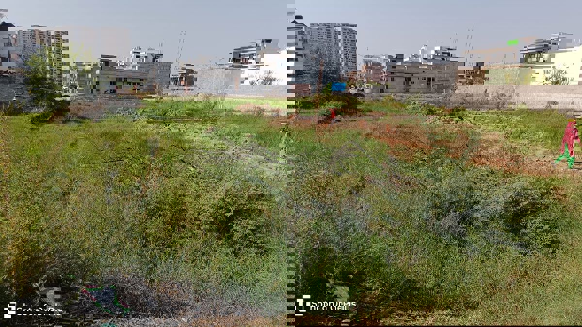 Industrial Plot For Sale in Sector 82 A