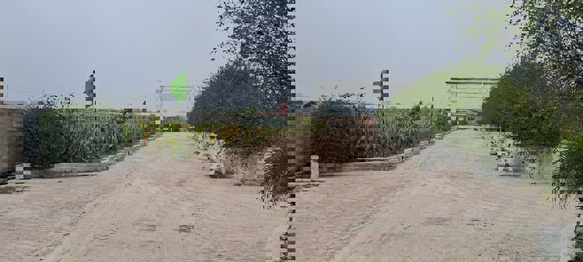 Plot For Sale in Dream Valley 