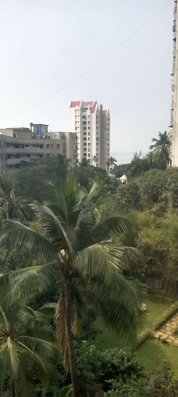 1 BHK Apartment For Rent in Savera CHS Andheri