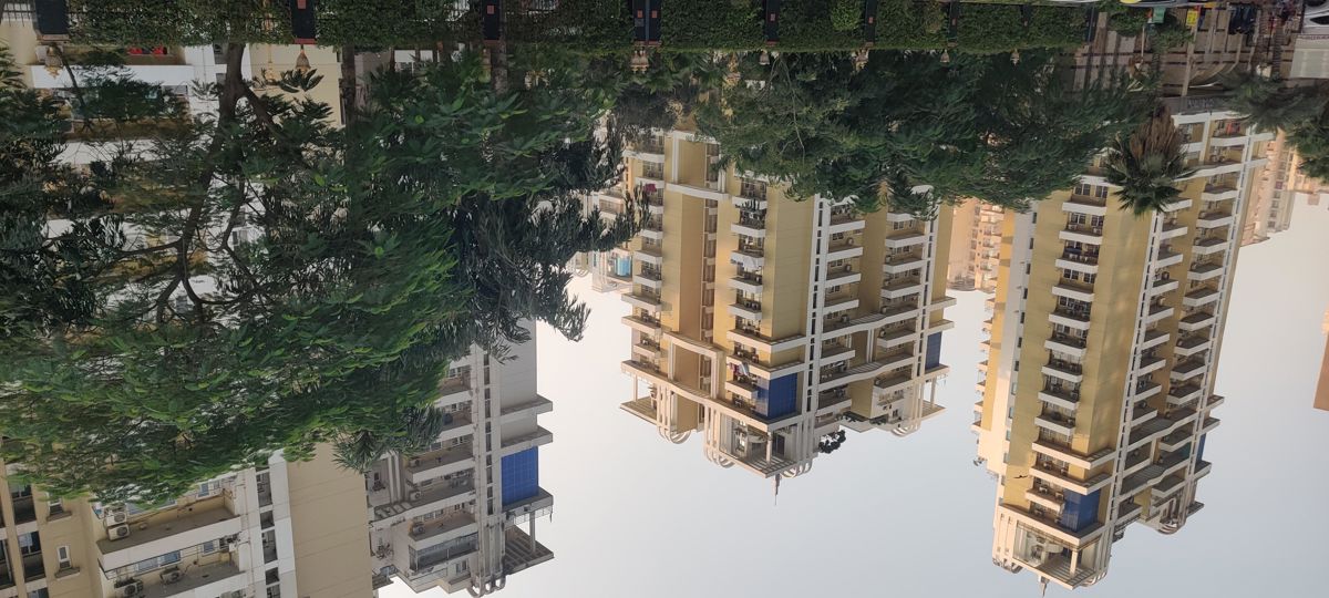 3 BHK + Study Room Apartment For Rent in Purvanchal Royal Park