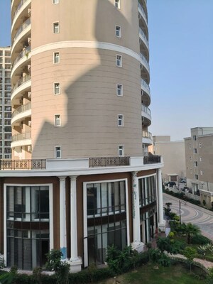 3 BHK Apartment For Rent in Ambika Florence Park, North Mullanpur