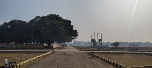 Plot Area in  Plot at Raebareli Road – for Sale