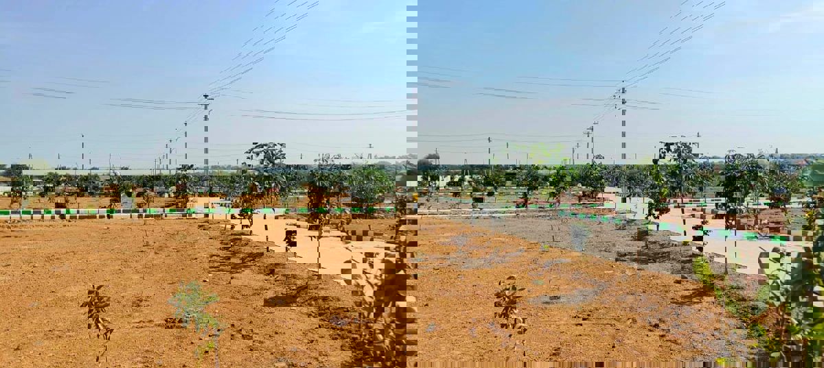 Plot For Sale in Nimz County