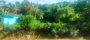  Plot – Garden View at Amala Nagar - for Sale