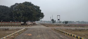 Plot Area in  Plot at Raebareli Road – for Sale