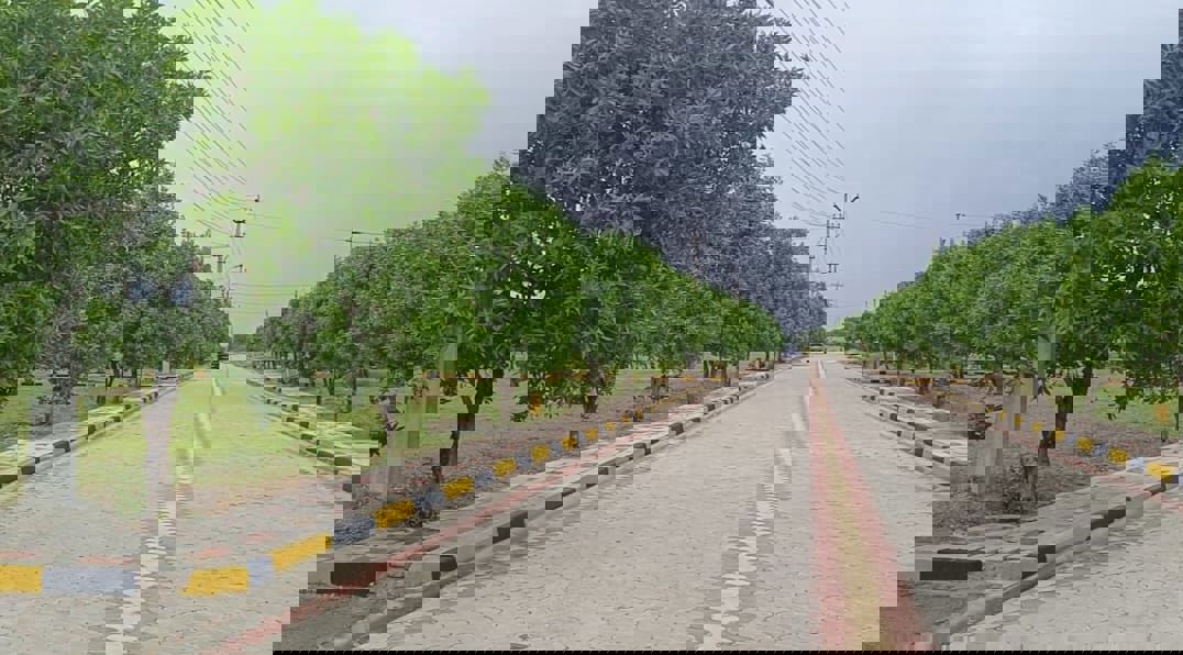 Plot For Sale in JB Nature Valley