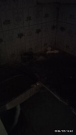 2 BHK 750 Sq.Ft. Builder Floor in Sector 56