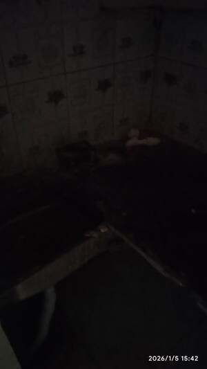 2 BHK Builder Floor For Rent in Sector 56