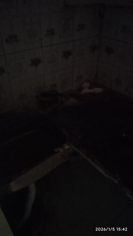 2 BHK Builder Floor For Rent in Sector 56