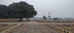 Plot For Sale in Pb Properties 