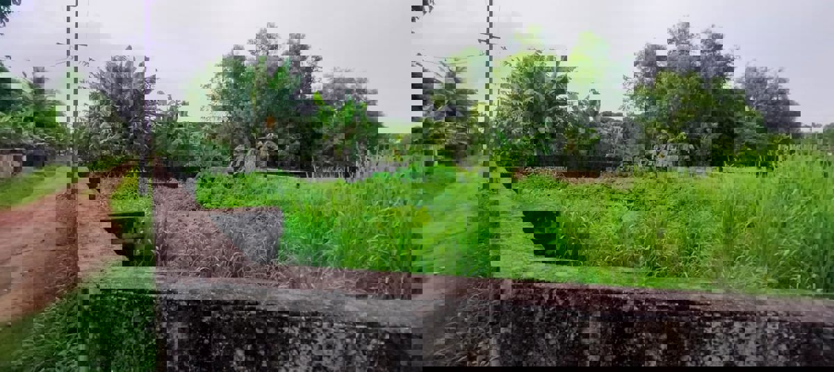 Plot For Sale in Punkunnam