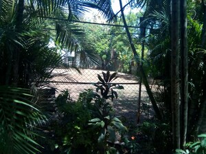 3 BHK Independent House – Garden View at Swaroop Park CHS, Kothrud - for Rent