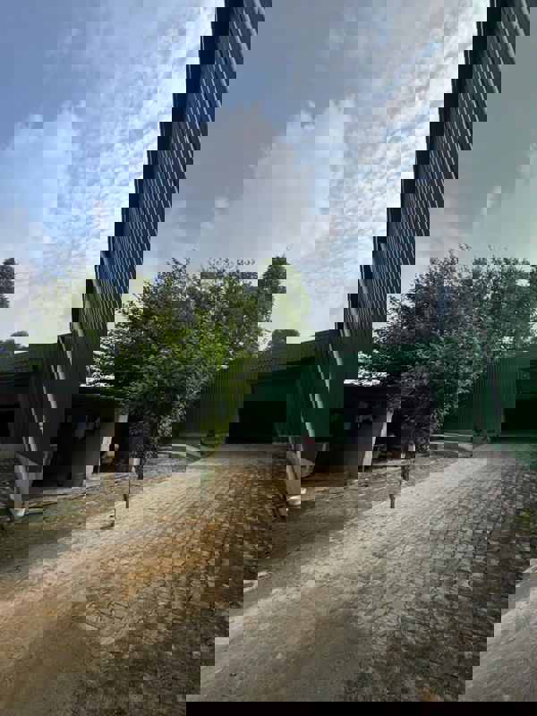 Warehouse For Rent in Pace City Ii, Sector 37, 