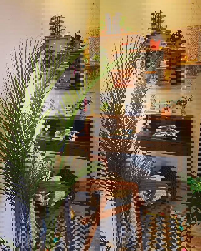 Pg For Rent in Vineet Khand