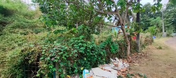 Plot Area in  Plot at Cherpu – for Sale