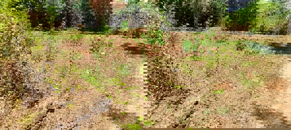 Plot For Sale in Poochatty