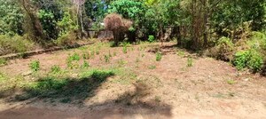 Plot Area in  Plot at Poochatty – for Sale