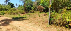 Plot Area in  Plot at Poochatty – for Sale