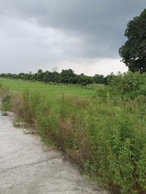  Industrial Plot For Sale in Ayodhya Industrial Park, Lajpore
