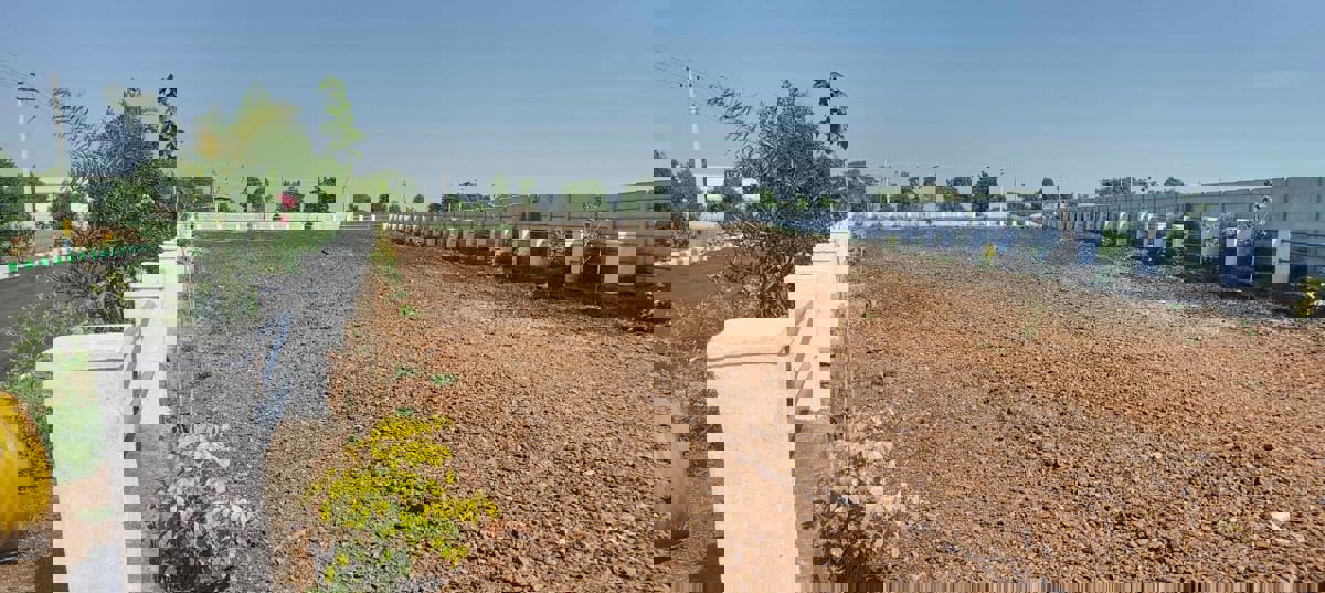 Plot For Sale in Nimz County