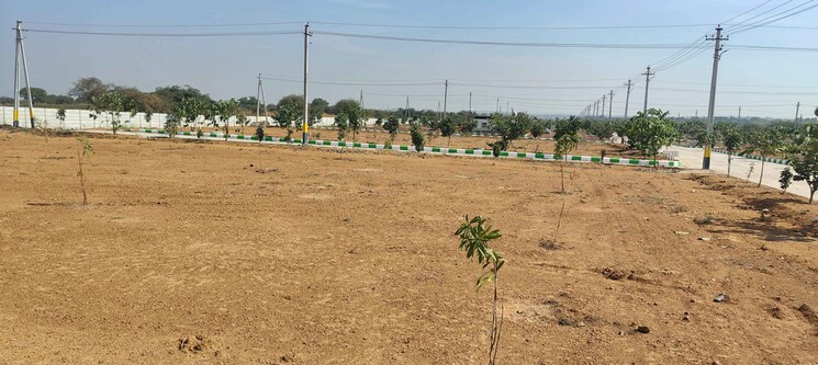 undefined, nimz-county  220 Sq.Yd. Plot In Kamkole Hyderabad 9734370