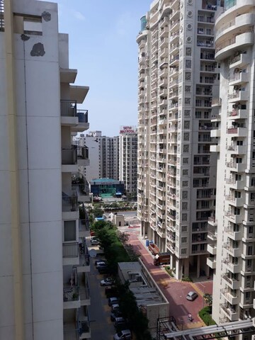 2 BHK Apartment For Rent in Aditya Urban Casa, Sector 78