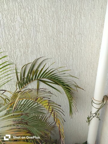 2 BHK Apartment – Map Location View at Lodha Bella Vita, Nibm Road - for Sale