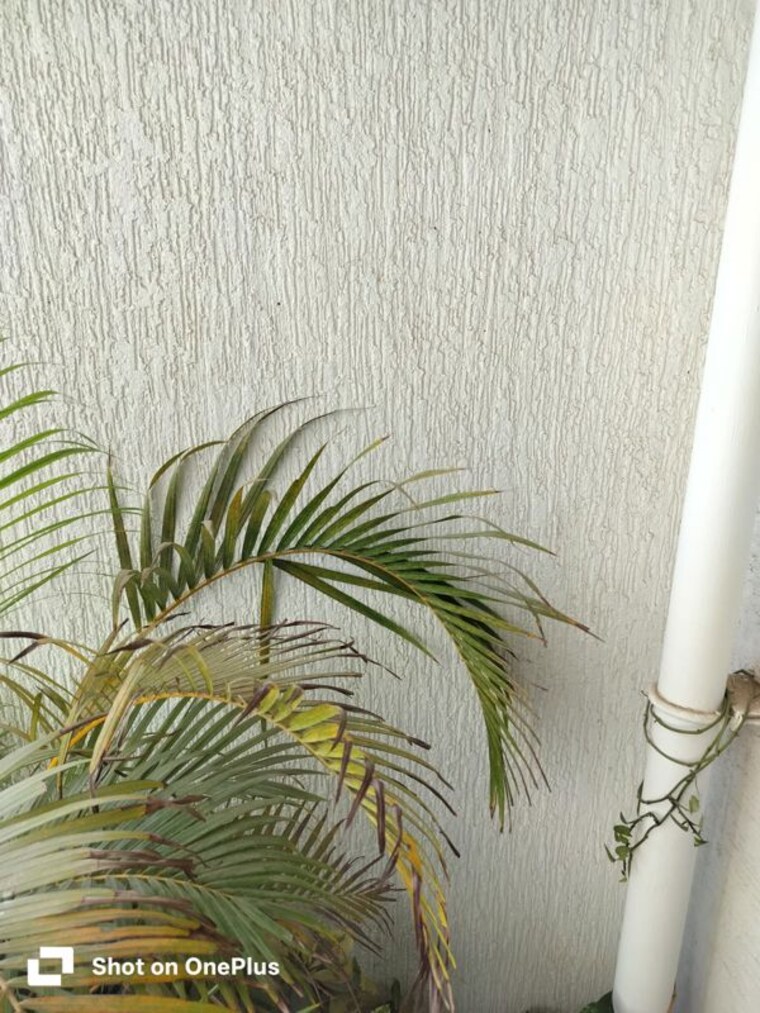 Map Location, lodha-bella-vita 2 Bedroom 1000 Sq.Ft. Apartment In Nibm Road Pune 9734633