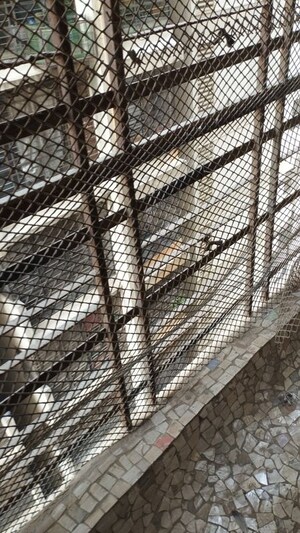 Balcony in 1 BHK Apartment at United CHS, Agripada – for Sale