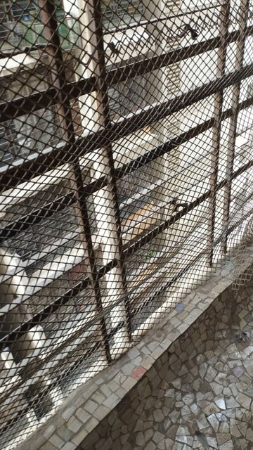 Balcony in 1 BHK Apartment at United CHS, Agripada – for Sale