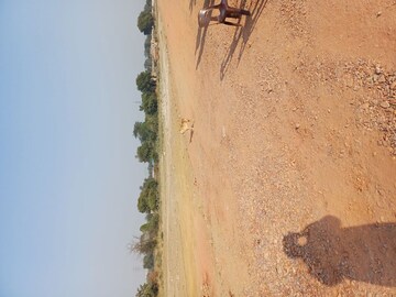 Plot Area in  Plot at Jajru – for Sale