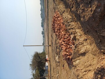 Plot Area in  Plot at Jajru – for Sale