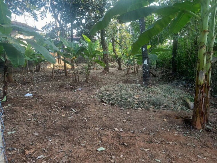 undefined, kolazhy  4791 Sq.Ft. Plot In Kolazhy Thrissur 9734701