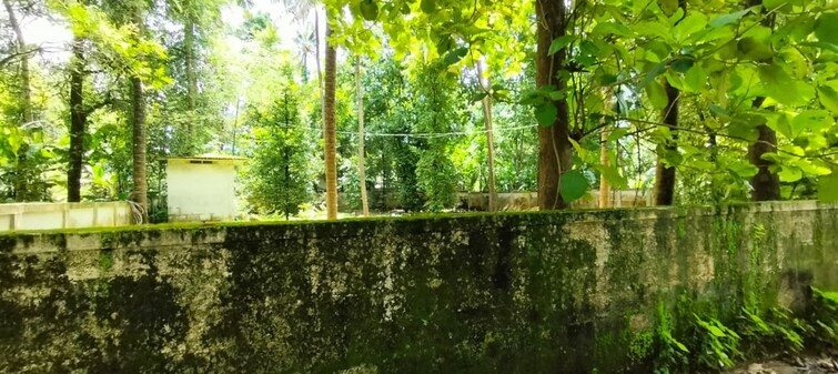 undefined, kottekkad  6534 Sq.Ft. Plot In Kottekkad Thrissur 9734769