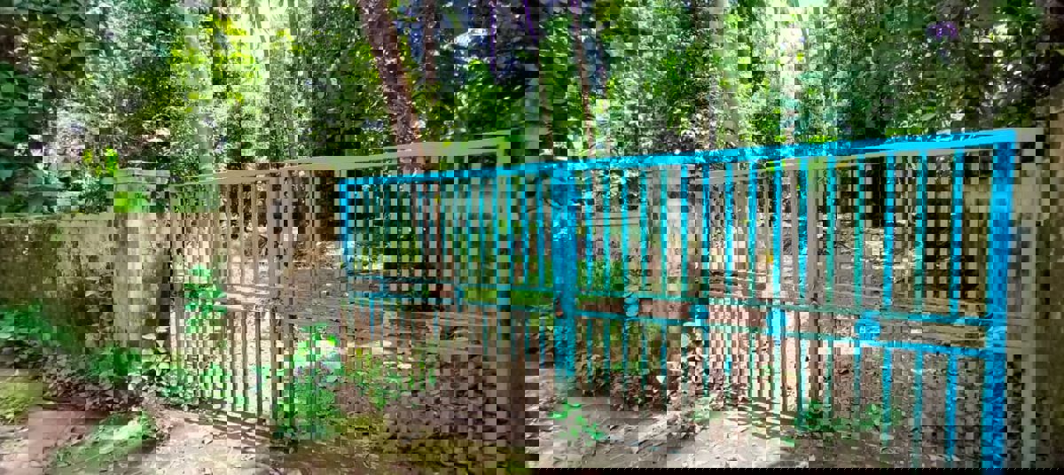 Plot For Sale in Kottekkad