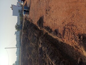 Plot Area in  Plot at Jajru – for Sale