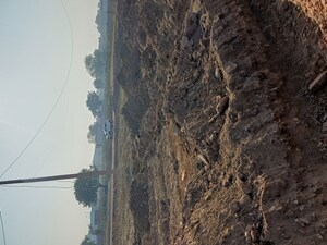 Plot Area in  Plot at Jajru – for Sale