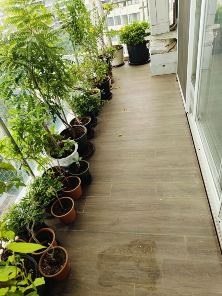 Exterior View, skywards-riviera-valentina 4 Bedroom 2200 Sq.Ft. Apartment In Baner Pune 9735033