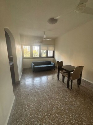 1 BHK Apartment For Rent in Bandra West