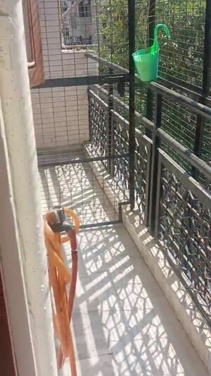 Balcony in 3 BHK Builder Floor at Old Rajinder Nagar – for Sale