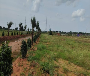 Plot Area in  Plot at Pargi – for Sale