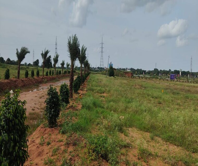 undefined, pargi  4134 Sq.Ft. Plot In Pargi Vikarabad 9736017