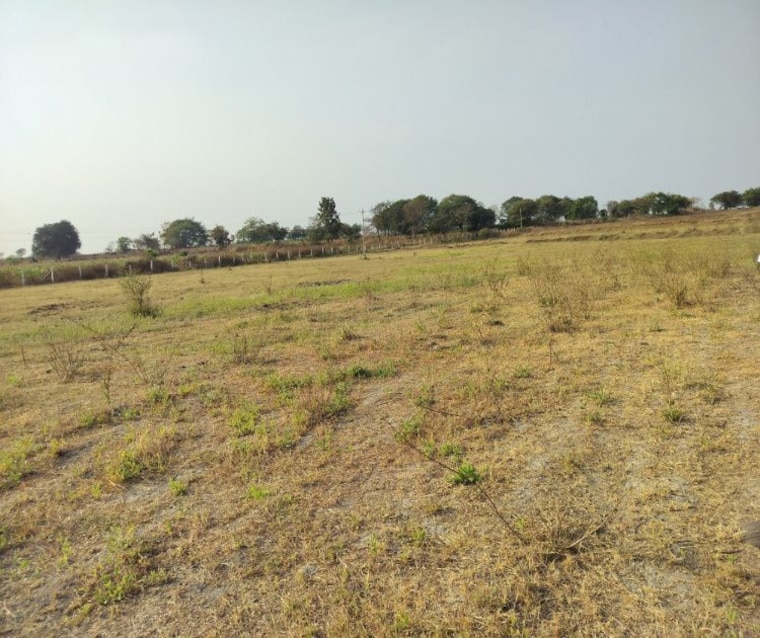 undefined, pargi  4109 Sq.Ft. Plot In Pargi Vikarabad 9736025