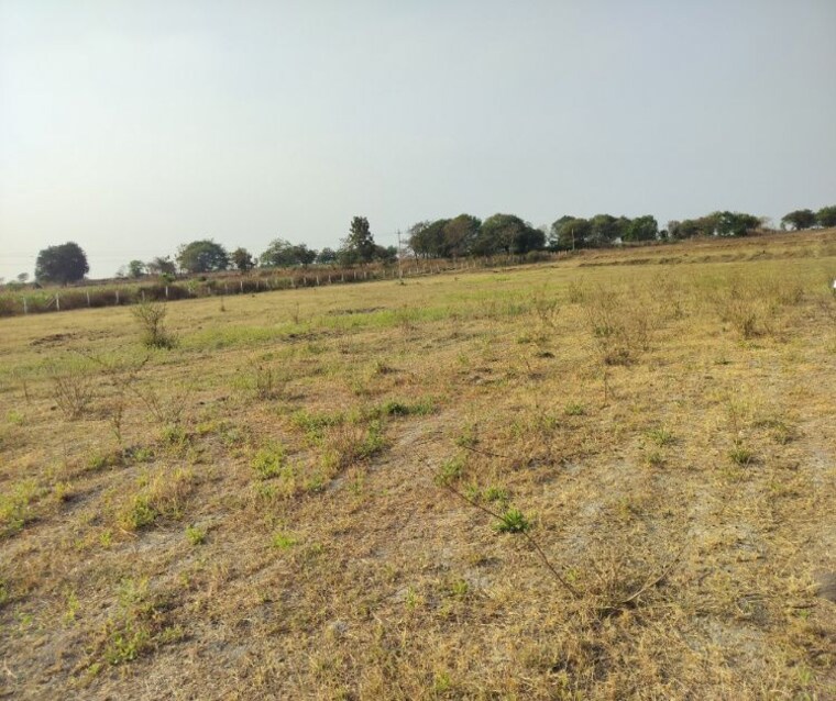 undefined, pargi  4184 Sq.Ft. Plot In Pargi Vikarabad 9736098