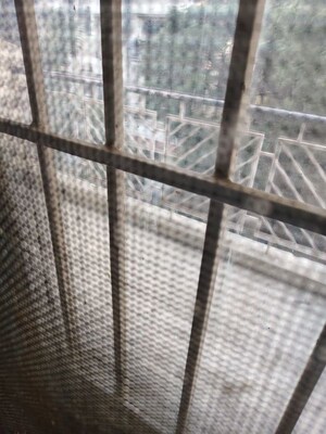 Balcony in 2.5 BHK Apartment at Vasant Kunj – for Rent